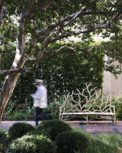 Images Shw2008_11.jpg